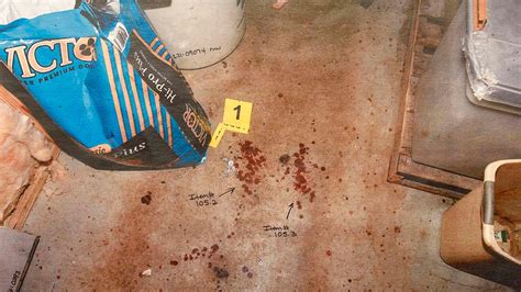 alex murdaugh crime scene photographs|PHOTOS: Alex Murdaugh trial, evidence photos